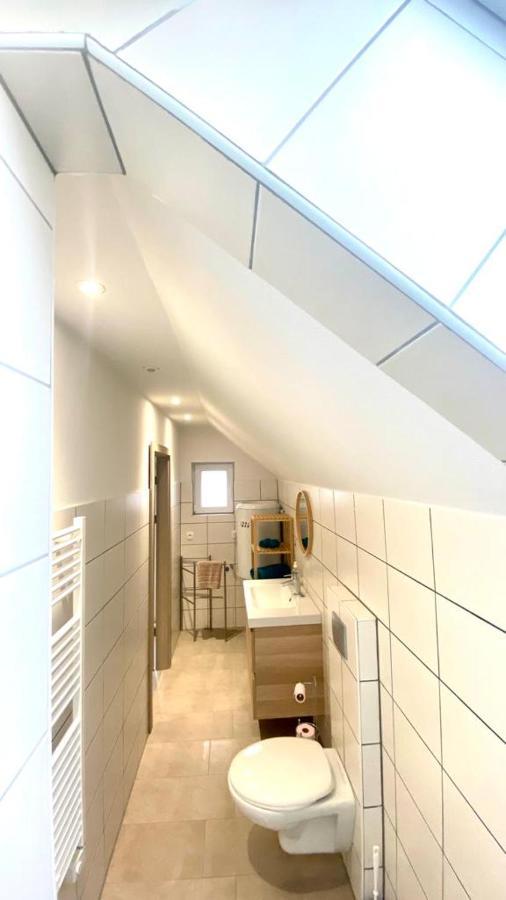 Apartament Colmar Cote Rhin Biesheim Zewnętrze zdjęcie